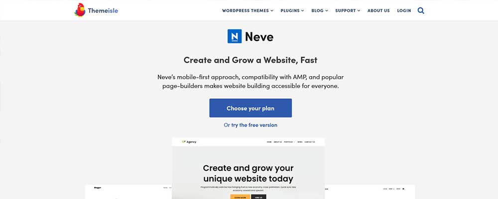 Neve WordPress Theme Design Idea